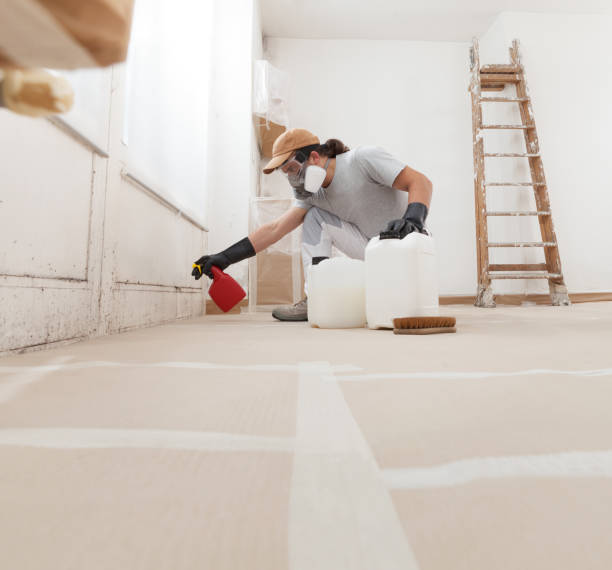 Best Residential Mold Inspection & Testing  in Cedar Grove, FL