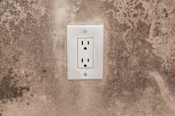 Mold Odor Removal Services in Cedar Grove, FL